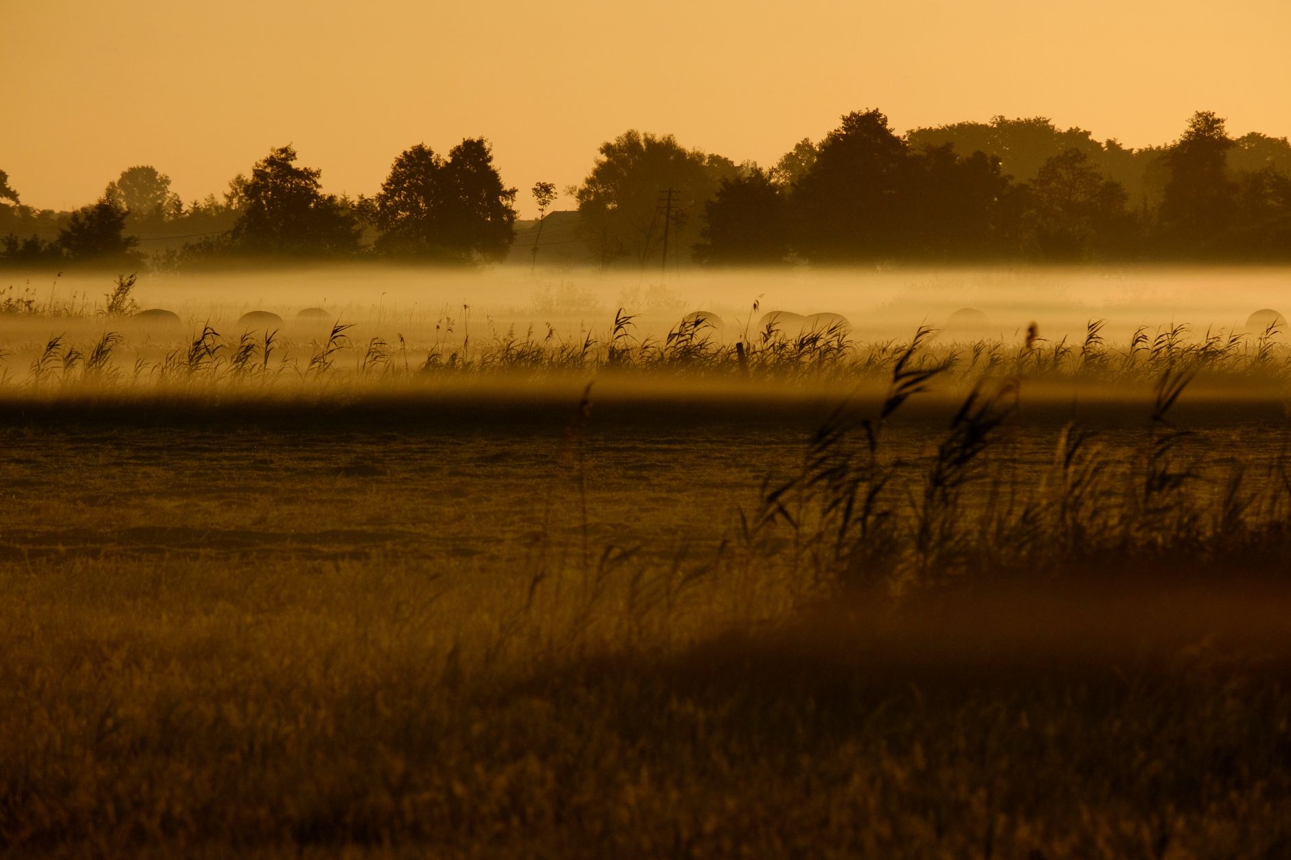Golden mist over a field at sunrise, starting the day by seeking God's kingdom first