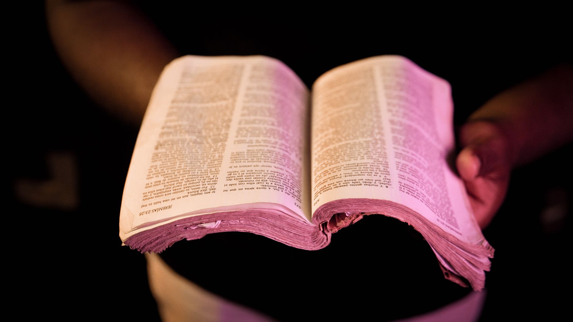 Bible open to the Psalms with a shaft of light falling across the text